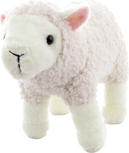 Licht en compact voor thuis en onderweg