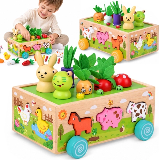 Houten sorteerder 3-in-1 met karretje, dieren en magnetische wormpjes