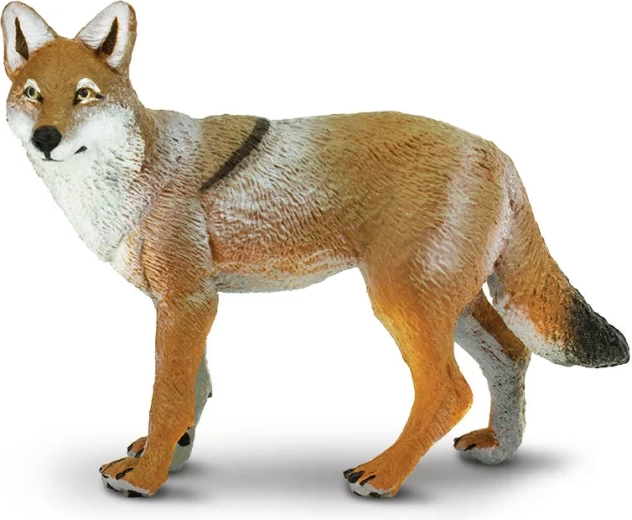Coyote Safari Ltd. - 1 stuk