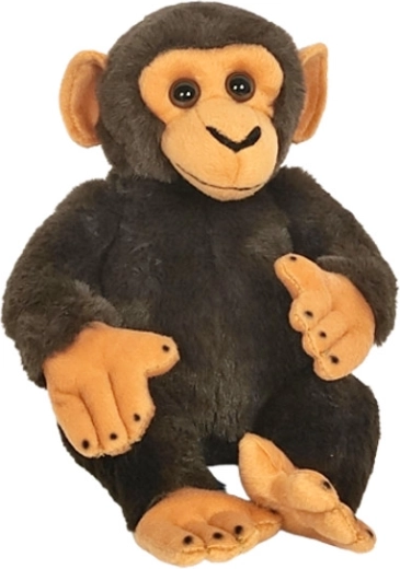 Pluche chimpansee 22 cm