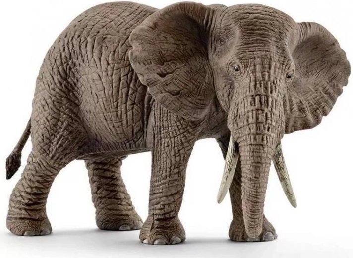 SCHLEICH Afrikaans olifantenwijfje