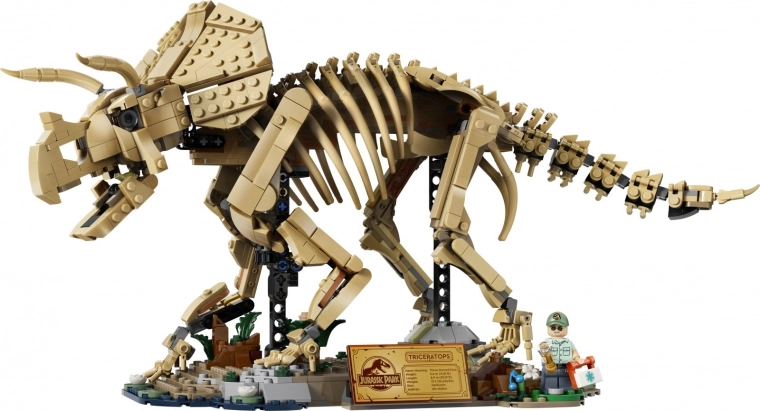Gedetailleerd triceratops-skelet als displaymodel