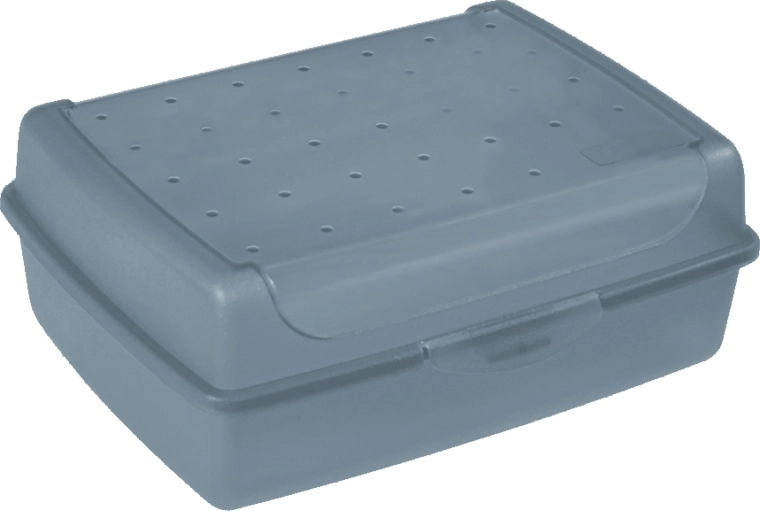 Luca Click Box MIDI kunststof bewaardoos met deksel 1 l blauw