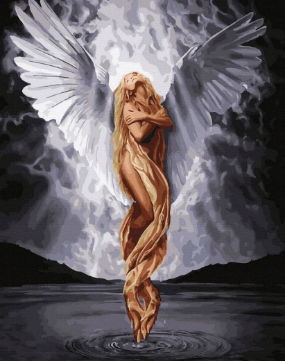 Norimpex diamant painting engel 30 × 40 cm
