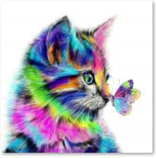 Diamantschilderen (diamond painting) katje met vlindertje 30 × 30 cm