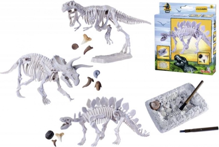 Set voor het opgraven en assembleren van dinosauriër skeletten