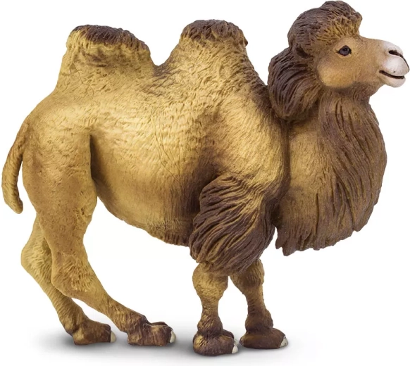 Safari Ltd. tweebultige kameel figuur