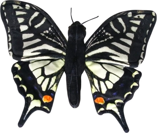 Koninginnenpage (venkelpage) 30 cm