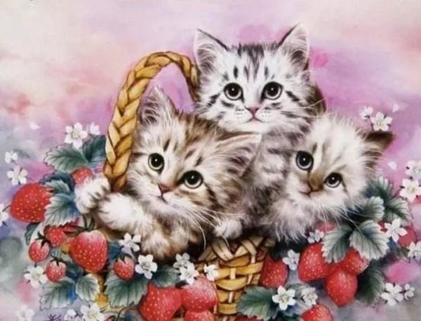 Norimpex diamant schilderen Kittens in een mandje 30 × 40 cm