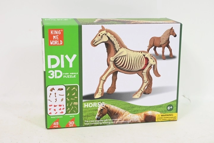 Anatomisch model van een paard