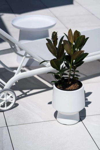 Slimme inzet voor gezonde wortels