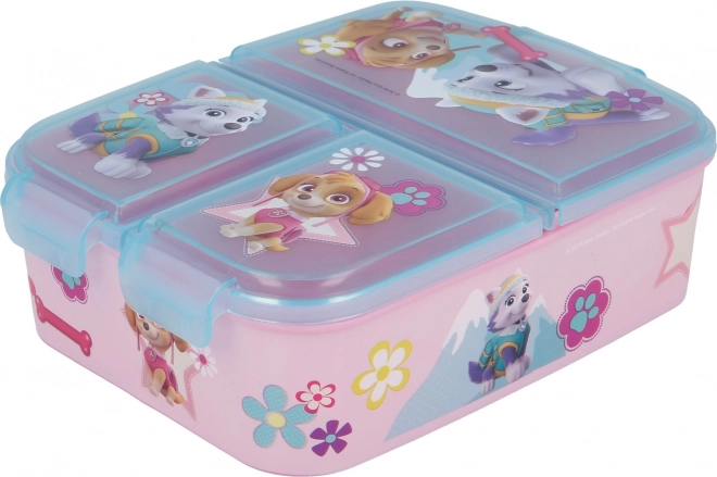 Kinder snack-multibox PAW Patrol Skye en Everest
