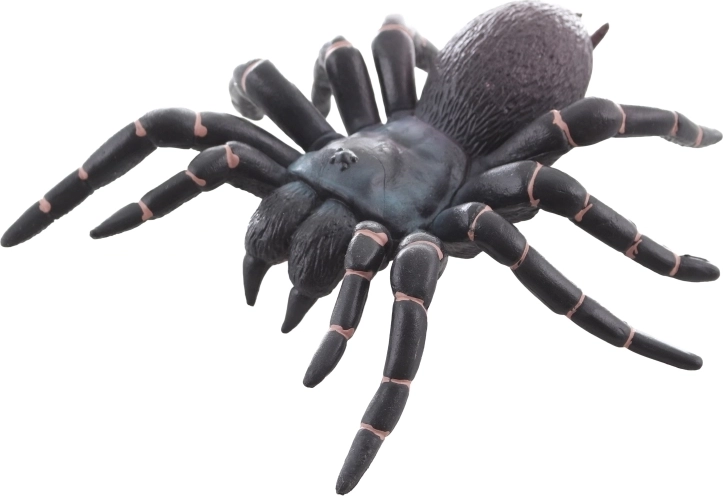 Ideaal voor leren en decoratie