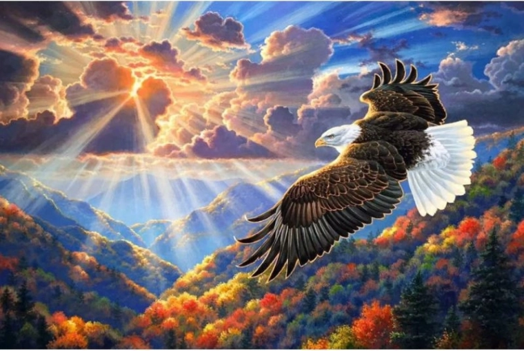 Diamantmozaïek (diamond painting) adelaar in de lucht 40 × 30 cm