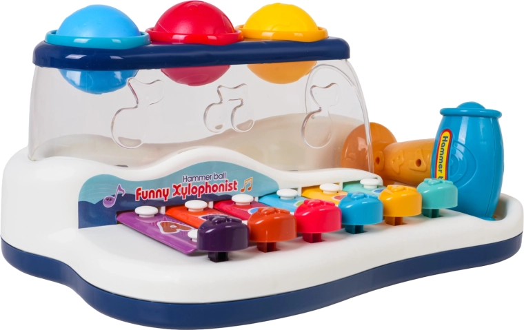 Muzikaal speelgoed 2-in-1: xylofoon met hamertje en balletjes