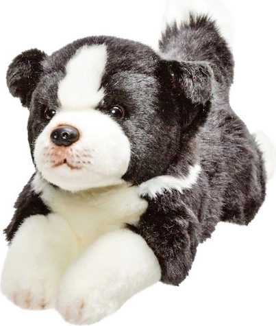 Pluchen bordercollie hond 30 cm