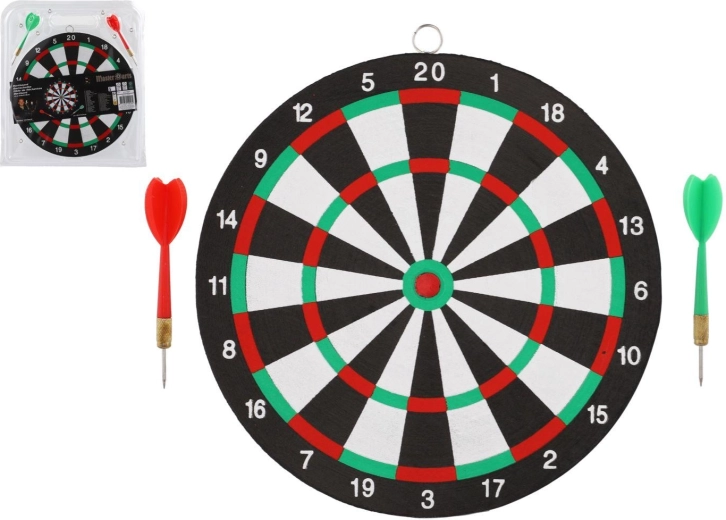 Dartbord 24 cm met 2 darts