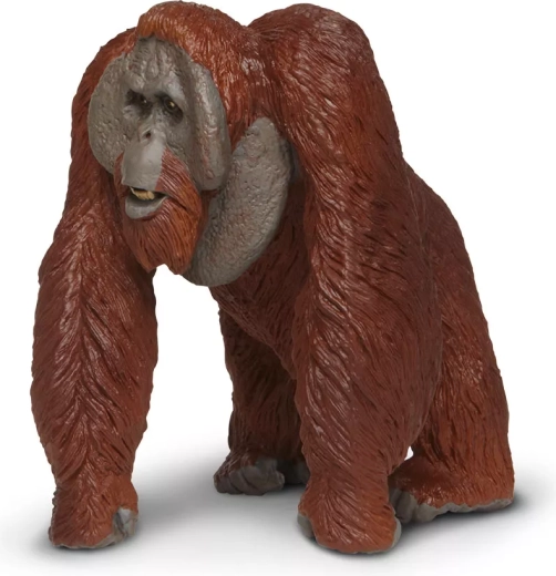 Een figuur voor kleine en grote ontdekkers