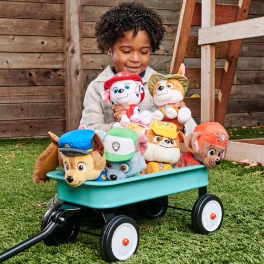 Heldin uit Paw Patrol