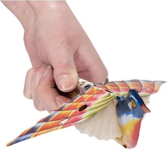 Zingend kleurrijk vogeltje Goki