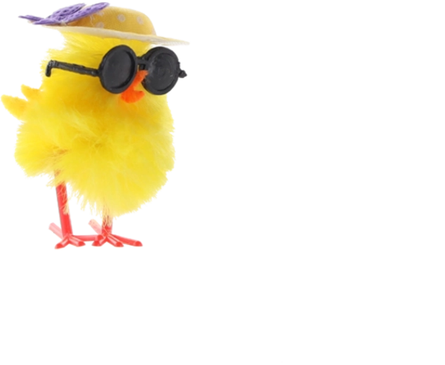 Licht en duurzaam afgewerkt