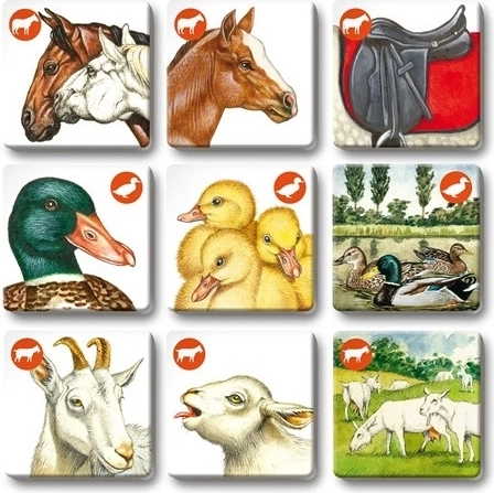 Drie spellen in één verpakking