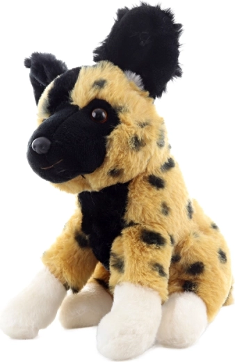 Compact formaat voor thuis en onderweg