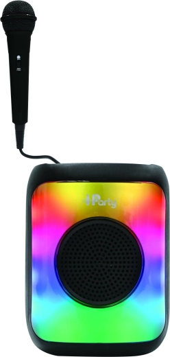 Karaokeplezier met microfoon
