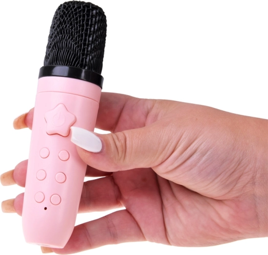 Karaoke-microfoon met bediening en stemvervorming