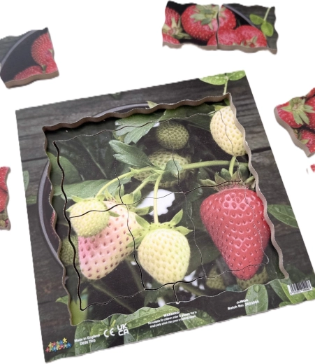 Gelaagde houten puzzel
