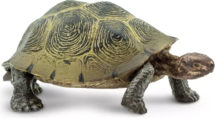 Safari Ltd. woestijnschildpad figuur