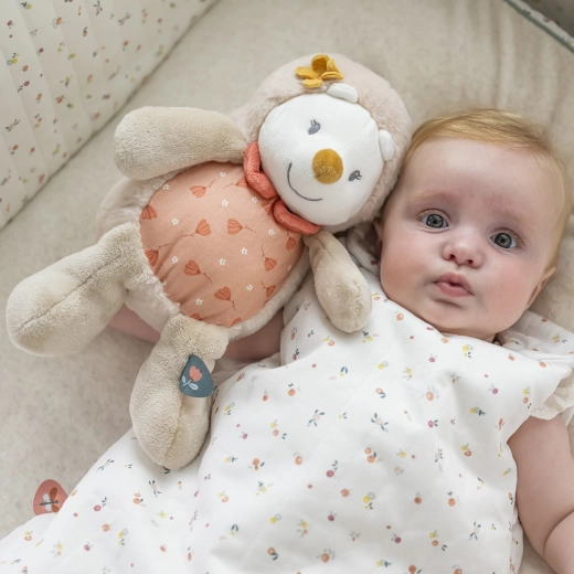 Makkelijk vast te pakken en ontwikkeling van fijne motoriek