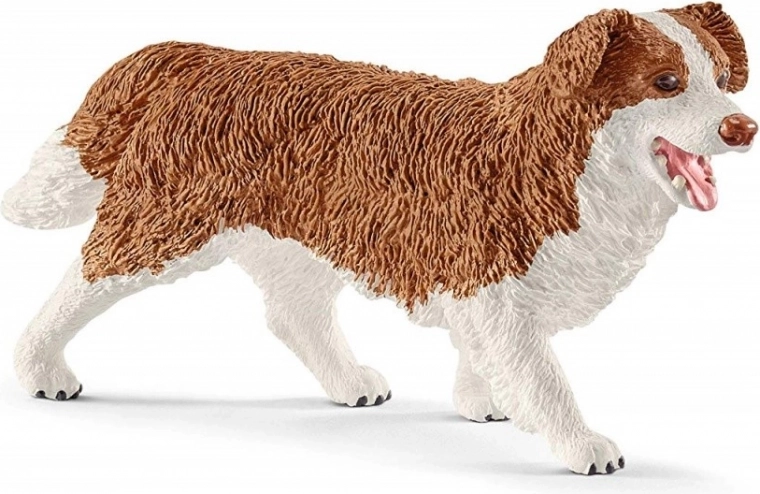 Dierenverzorging met teefje Ruby