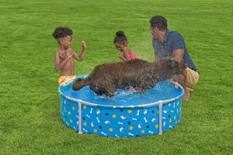Speels design voor huisdieren en kinderen