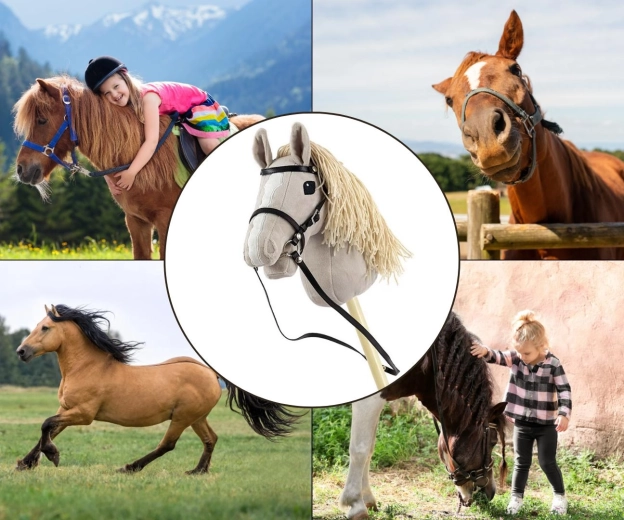 Beweging en fantasie in één speelgoed