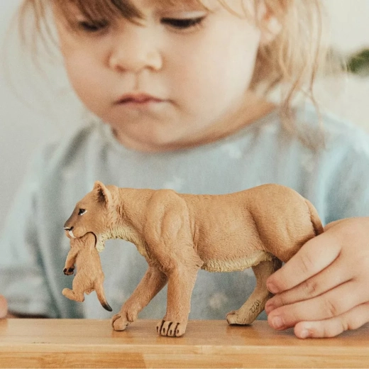Ideaal om te spelen, te leren en te verzamelen