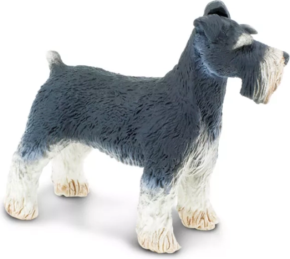 Natuurgetrouwe details van de schnauzer