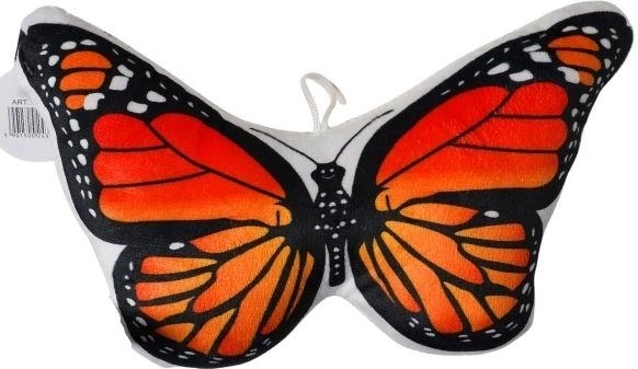 Opvallend vlinderdesign
