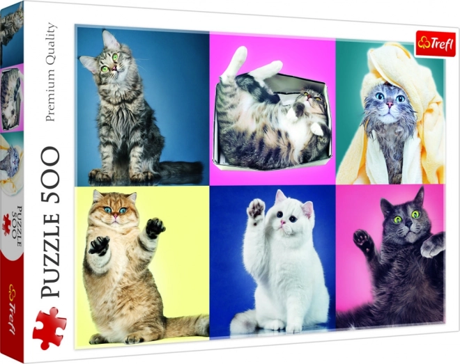 Puzzel 500 stukjes Kittens Trefl