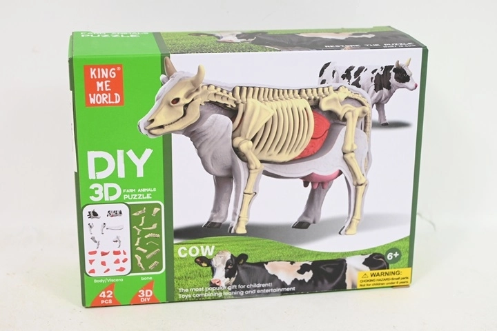 Anatomisch koeienmodel voor kinderen
