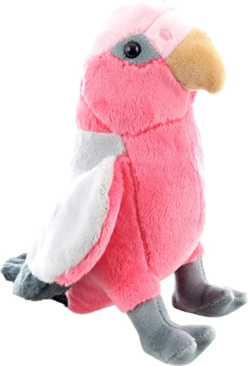 Schattige roze kaketoe