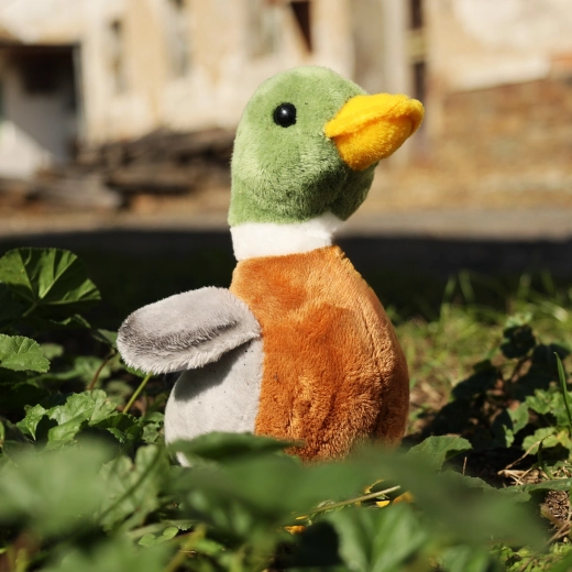 Eco-friendly vulling