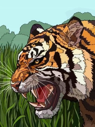 Schilderen op nummer brullende tijger in het gras 40 × 50 cm
