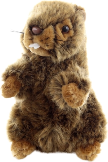 Eco‑friendly afwerking