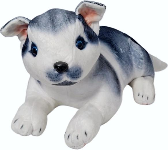 Pluchen huskyhond