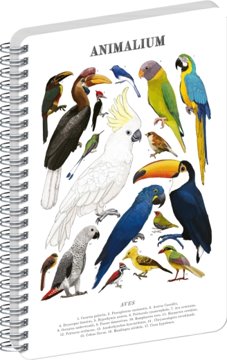 Notique spiraalblok Animalium – vogels, blanco, A4
