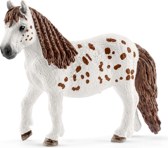 Shetlandpony Spotty met verfijnde details