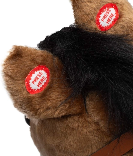 Interactieve oortjes met melodie