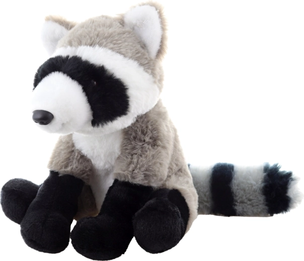 Realistische details van de wasbeer