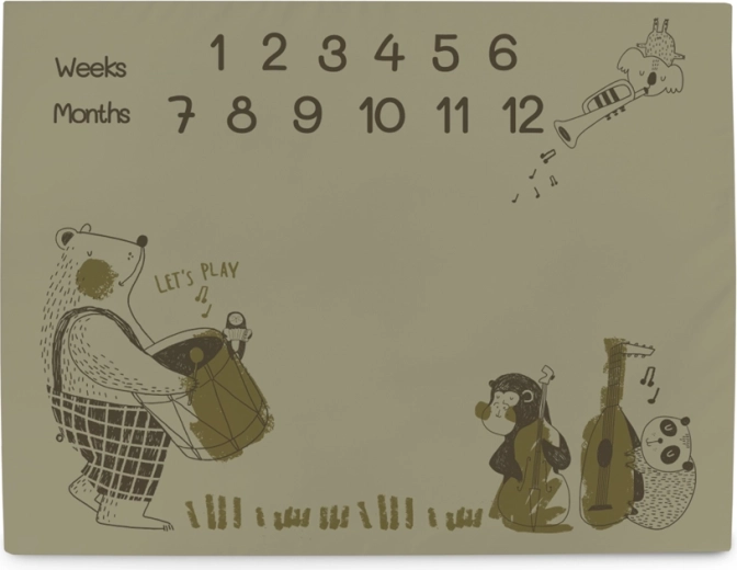 Ceba Baby mijlpaal-fotomat basic band 92 × 72 cm